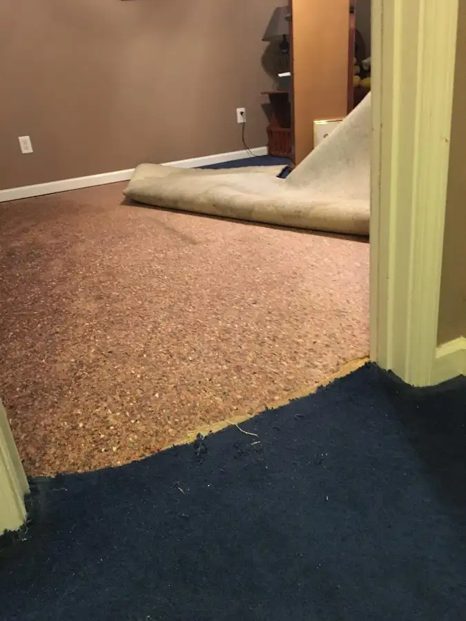 Carpet pad removal revealing water damage during Water Mitigation Services in Hollywood