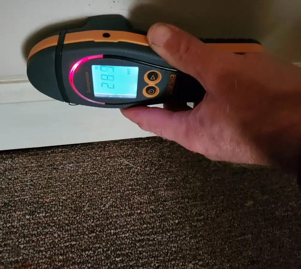 Moisture detection at baseboard during Burst Pipe Cleanup in Hollywood